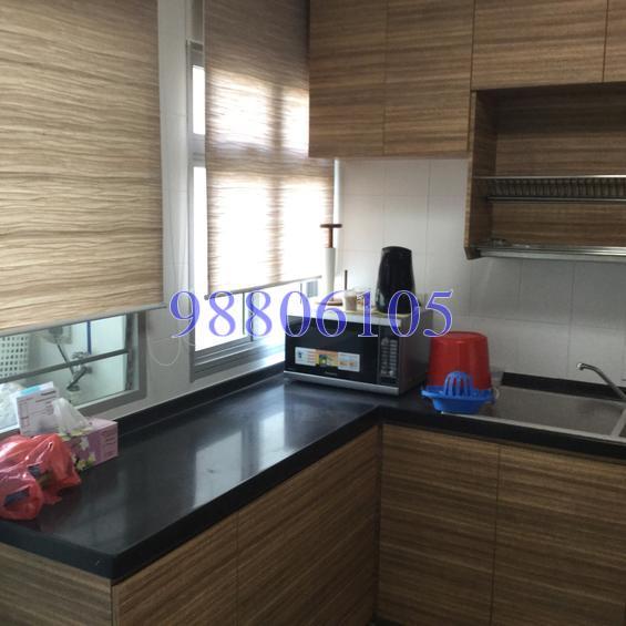 Blk 209A Compassvale Lane (Sengkang), HDB 4 Rooms #133032882